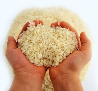 Baldo big rice pictures on the most beautiful and best white background