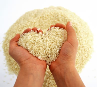 Baldo big rice pictures on the most beautiful and best white background