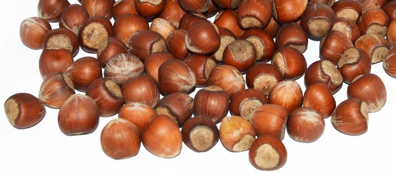 The new fresh shelled nuts pictures