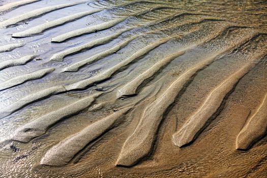 Background of rippled sandy beach