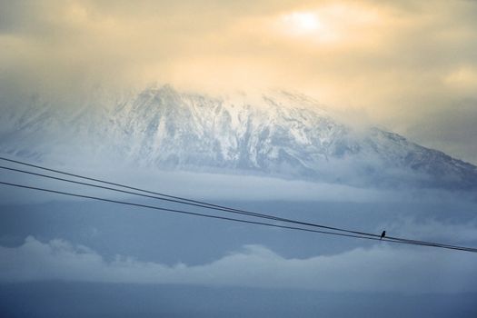 Mount Kilimanjaro, Kenia, the highest mountain in Africa. electric wire with a bird in the foreground 
