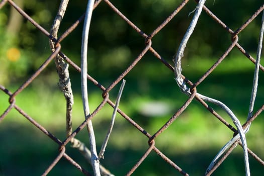 Close-up on a chainlink fence with dried grass