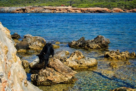 Cove in a rocky beach in Pou des Lleó, Ibiza