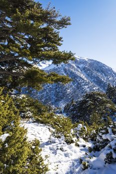 Ziria mountain covered with snow on a winter day, Korinthia, South Peloponnese, Greece. Ziria is one of the snowiest mountains in Peloponnese (2,374m).