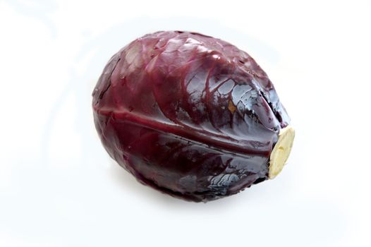 Black cabbage pictures on a white background