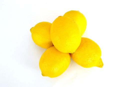 Lemon paintings on the most beautiful white ground
