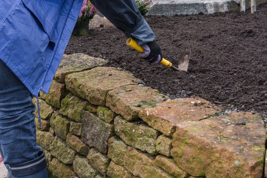 Woman with work gloves and garden tools while planting a flower bed in autumn. agriculture concept
