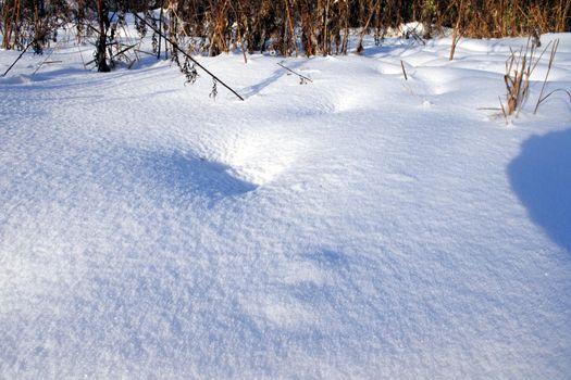 detail the frozen snow against sun, close-up snow crystals