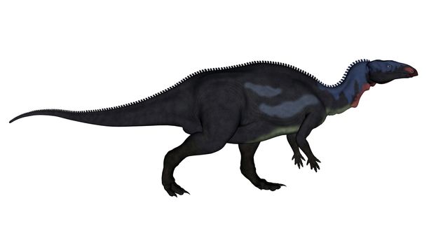 Camptosaurus dinosaur walking isolated in white background - 3D render