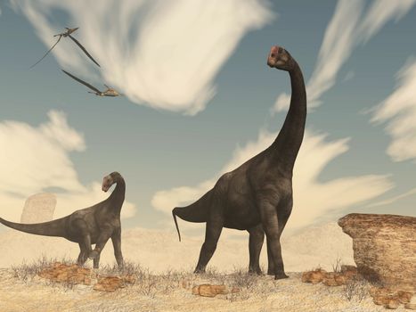 Two brontomerus dinosaurs walking in the desert - 3D render