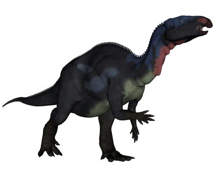 Camptosaurus dinosaur walking isolated in white background - 3D render