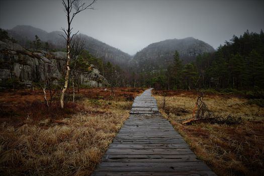 Wooden path through the forest in Norway.