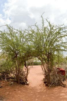 Shrub entrance porch in a village of Maasai in Kenya