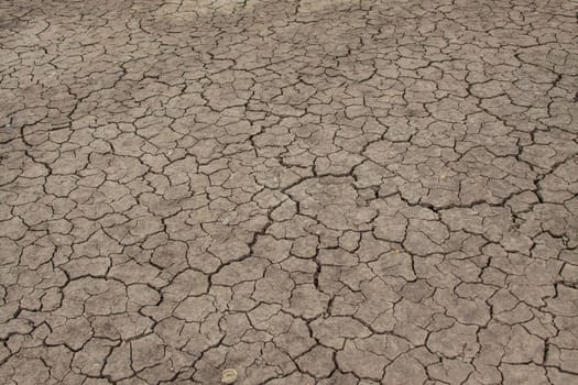 Crack soil on dry season, global worming effect
