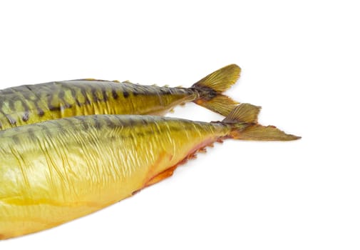 Tail portions of the two whole cold-smoked Atlantic mackerel on a light background
