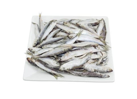 Frozen baltic herring with icy glaze on a square white dish on a light background
