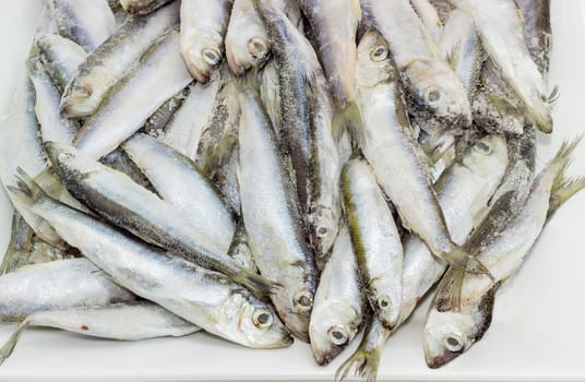 Background of frozen baltic herring with icy glaze closeup
