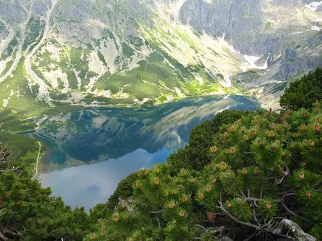 Top view of a mountain lake among craggy mountain slopes with thickets of a creeping pine on the foreground
