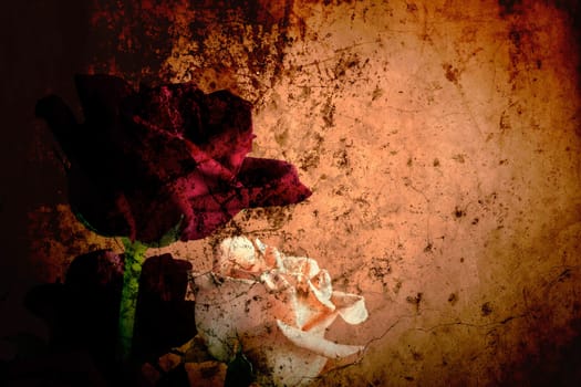 Art of roses on background concrete wall.