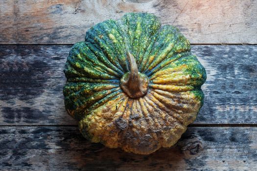 Pumpkin from the garden with the soil on the old wooden floor.