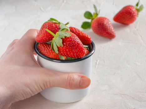 Her hand holding metal cup with strawberries. Fresh red strawberries in metal cup. Strawberry in rustic cup on oriental white background