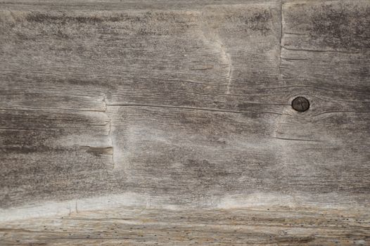 Old log cabin wood timber closeup with wood grain and adze marks. Background