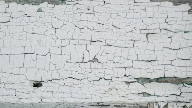 Thick white peeling crackled paint with green underneath.  On an old outbuilding on a farm.