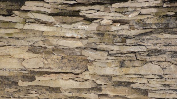 A background cliff face of weathered sedimentary limestone with wavy cracks in it.