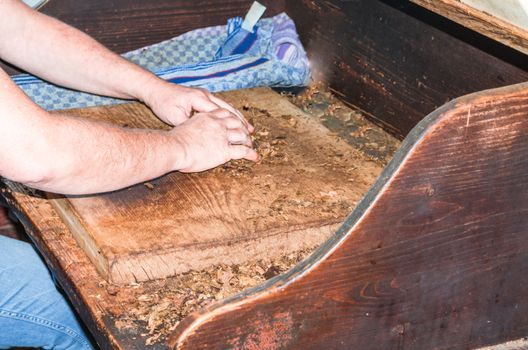 Traditional manufacture of cigars in an old tobacco factory in Havana in Cuba.