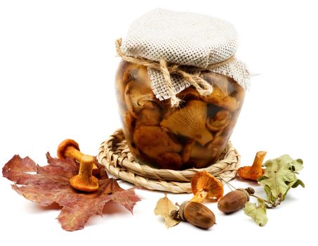 Arrangement of Glass Jar with Wild Pickled Chanterelle Mushrooms with Dry Leafs, Acorns and Raw Mushrooms isolated on White background