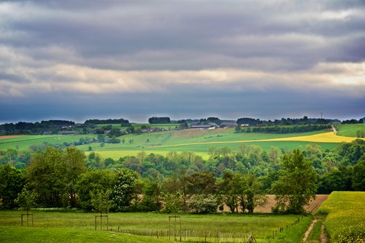 Belgium Rustic Landscape with Countryside Road on Green Grass and Yellow Flowers Field Against Dramatic Sky in Summer Day Outdoors 