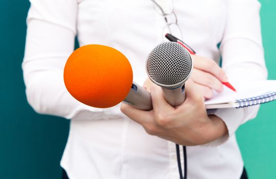 Female reporter taking notes at news conference