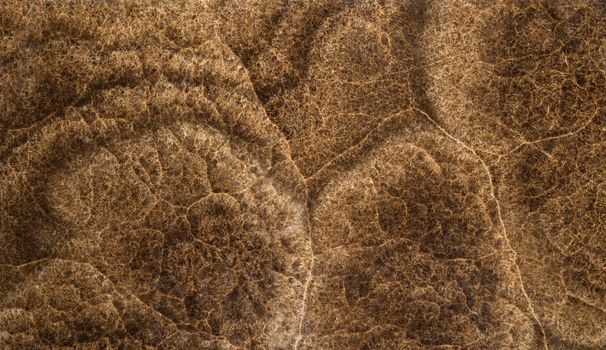 onyx decorative stone