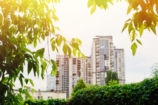 multi-storey residential buildings view from the park.