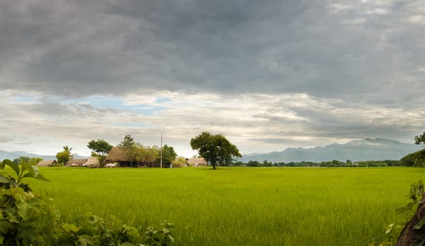 RURAL COUNTRYSIDE SCENE AND FARMHOUSE IN CLOUDY DAY