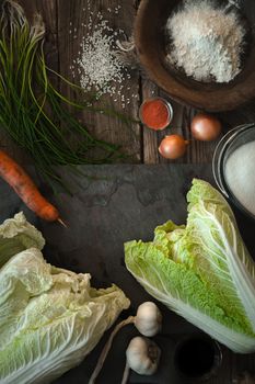 Frame of the ingredients for kimchi on the table vertical