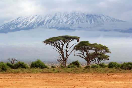 Mount Kilimanjaro, Kenia, the highest mountain in Africa. 