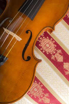 Violin in a still life composition