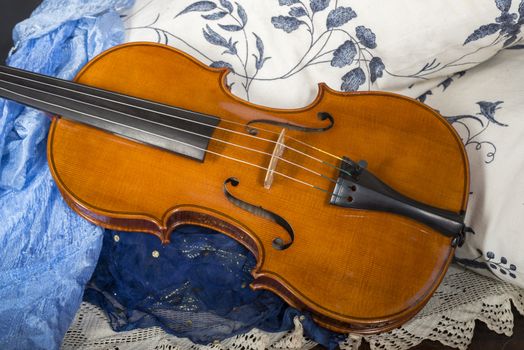 Violin in a still life composition