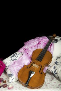 Violin in a still life composition