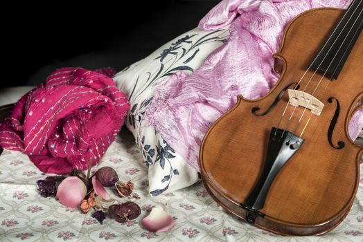 Violin in a still life composition