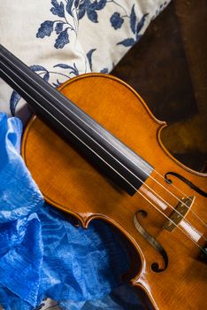 Violin in a still life composition