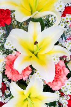 Bouquet of colorful flowers background