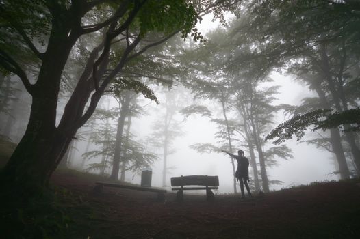 person walking outdoor, person in nature, nature series