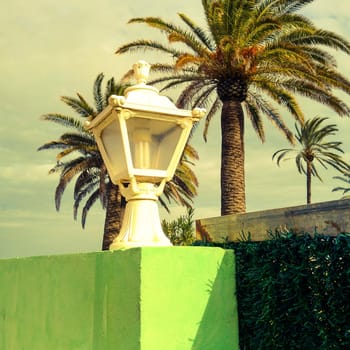 Street lamp on a column with palm trees
