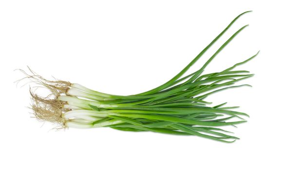 Bundle of a green onion with roots on a light background
