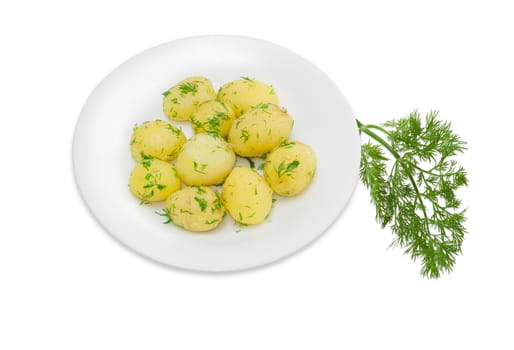 Boiled whole young potatoes of early ripening with butter, sprinkle with chopped dill on a white dish and a sprig of dill separately on a light background
