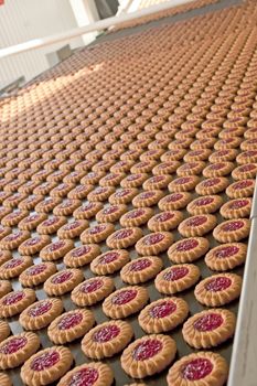 Production line of baking  jam cookies