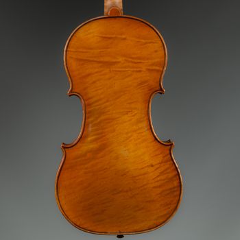 Stringed Musical Instrument, a violin on a white - grey background.