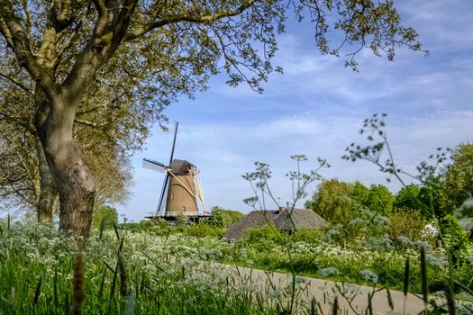 traditional Dutch windmill in a summer landscape with a blue sky and white clouds